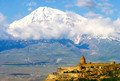 Арарат